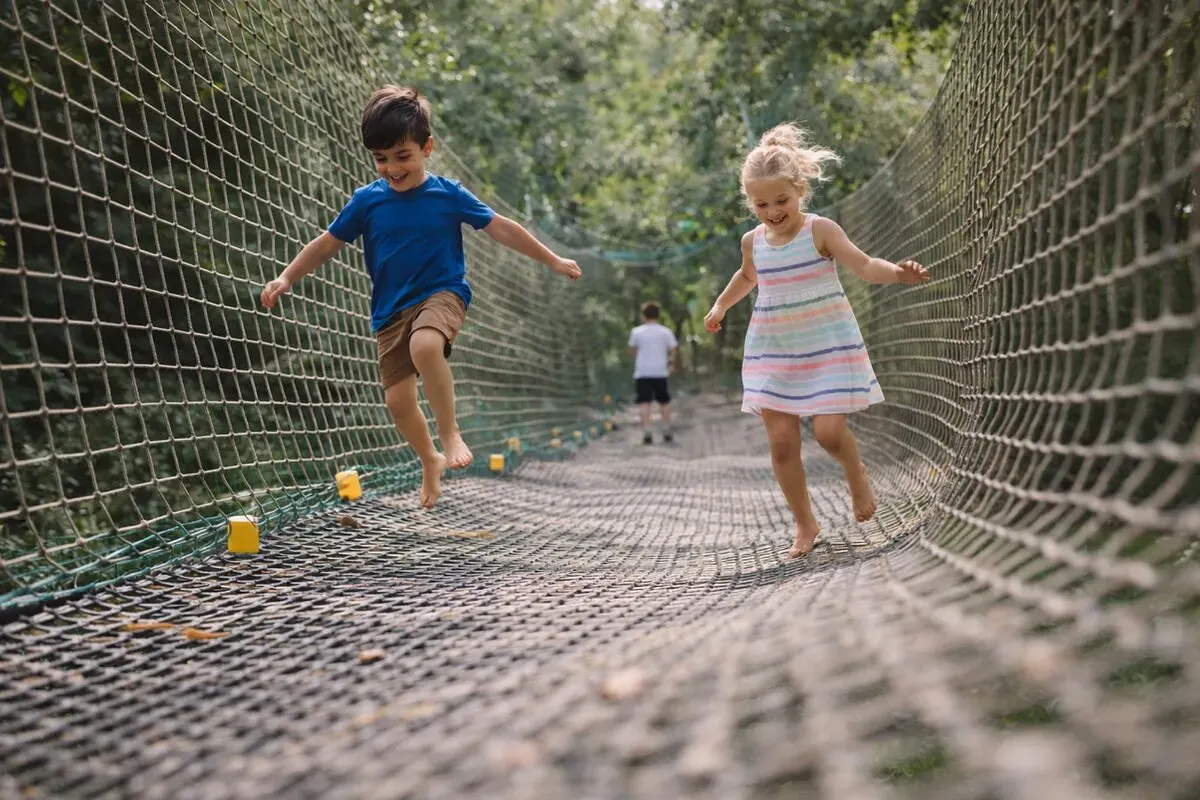 Bambini sui percorsi acrobatici tra gli alberi