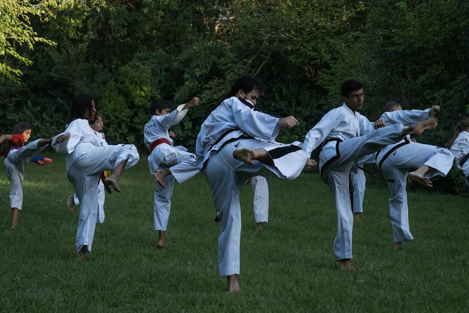 Karate e arti marziali